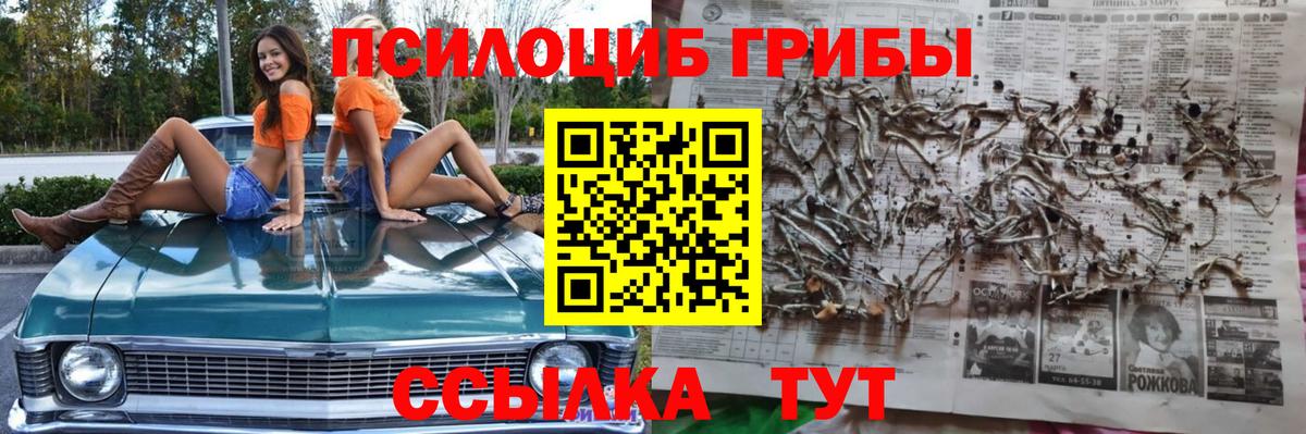 Псилоцибиновые грибы прущие грибы  Вход с VPN  Кыштым 