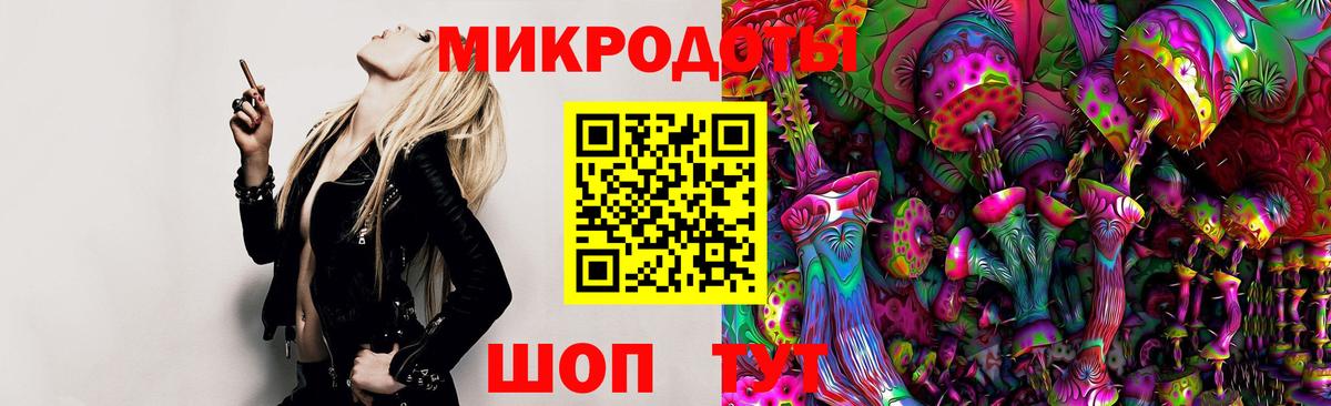 Галлюциногенные грибы Psilocybine cubensis Кыштым